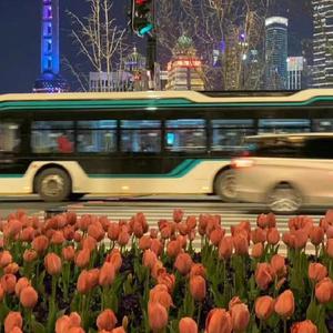 共享行业小狐导航
