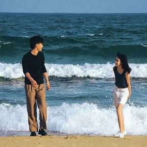 共享行业小狐导航
