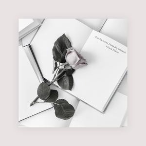 共享行业小狐导航
